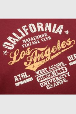 Style Core Aesthetics, New Style Trends Layered California Graphic Sweatshirt