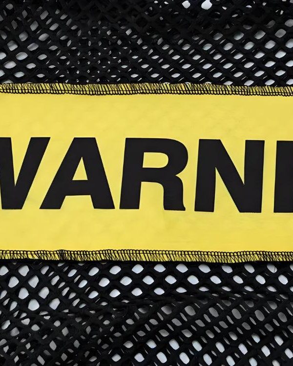 Baddie Warning Fishnet Mini Dress