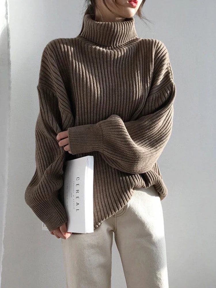 Chunky Turtleneck Knit Sweater
