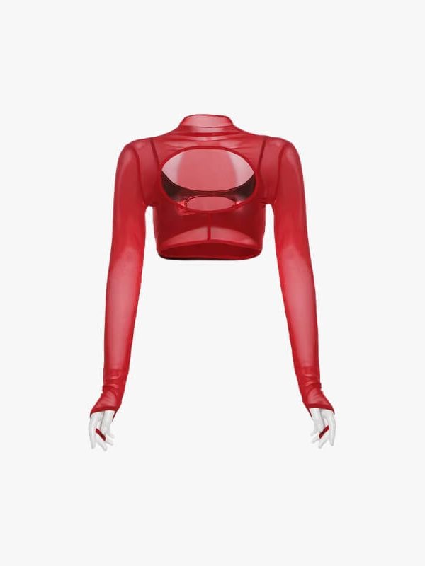 Cut-Out Sheer Mesh Crop Top