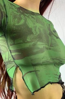 Fairycore Slit Mesh Crop Top