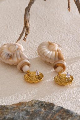 Golden Seashell Earrings