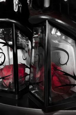 Goth Rose Mary Jane High Heels