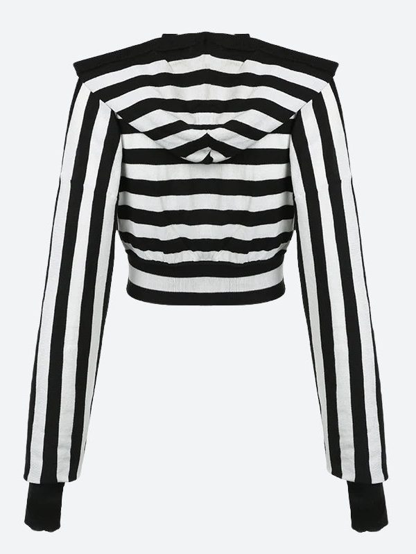 Grunge Striped Hooded Crop Top