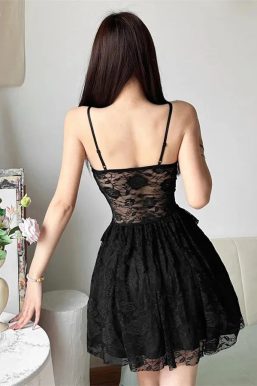 Lace Sheer Mini Dress