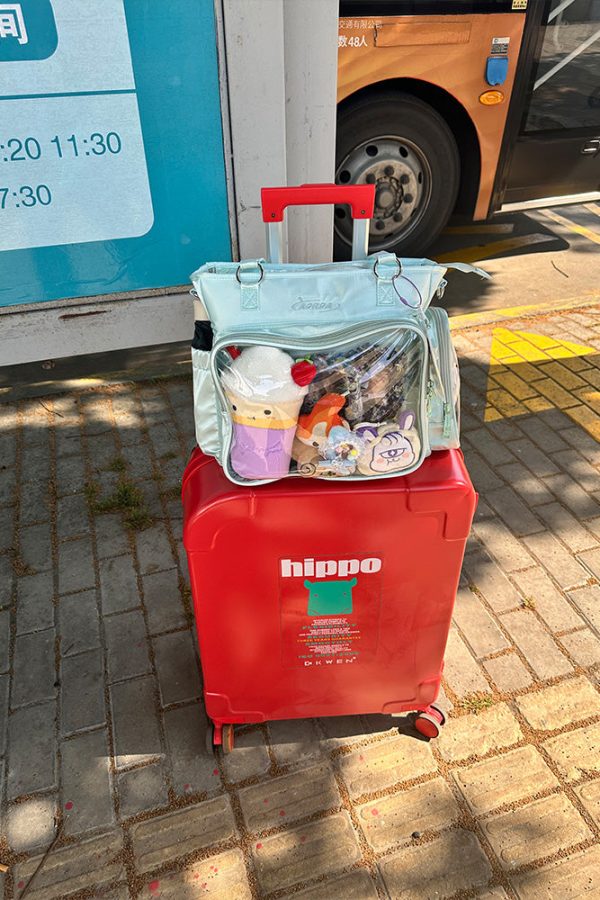 Multi-Purpose Ita Backpack – 3-Way Crossbody and Shoulder Bag