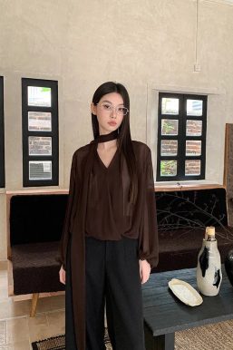 Neck Tie Sheer Mesh Blouse