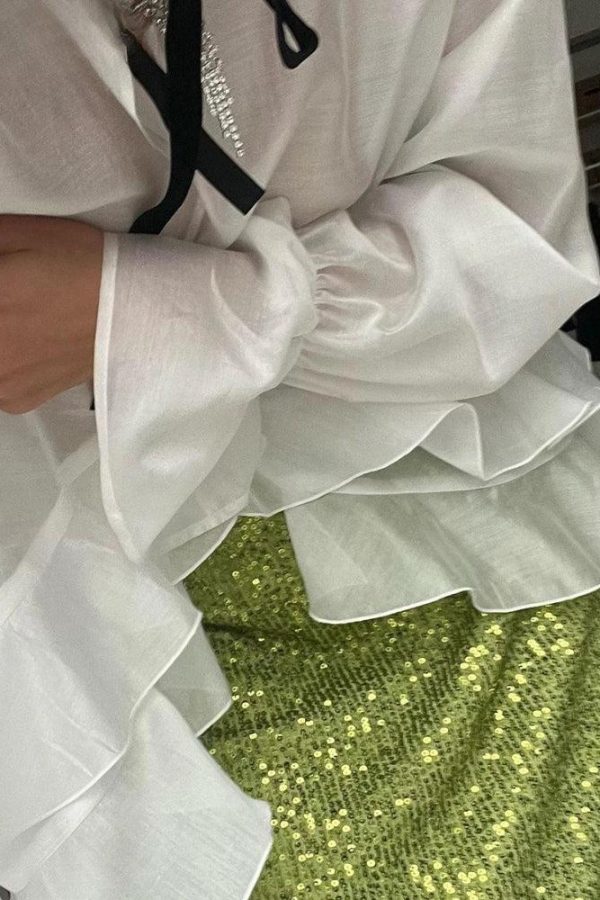 Ruffled Sheer Blouse