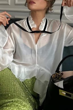 Ruffled Sheer Blouse