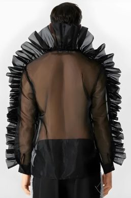 Ruffled Sleeve Sheer Shirt