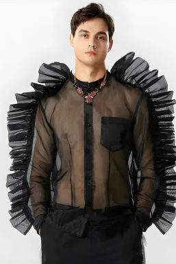 Ruffled Sleeve Sheer Shirt