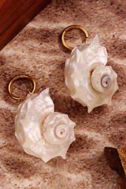 Seashell Earrings
