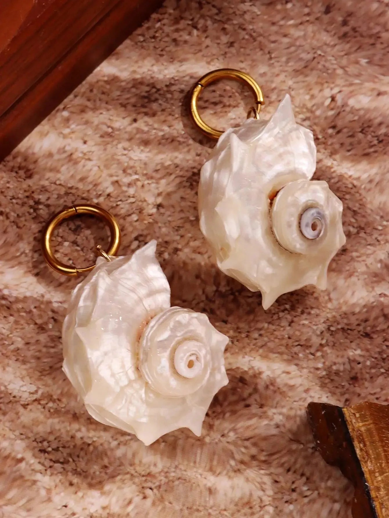 Seashell Earrings Seashell Earrings