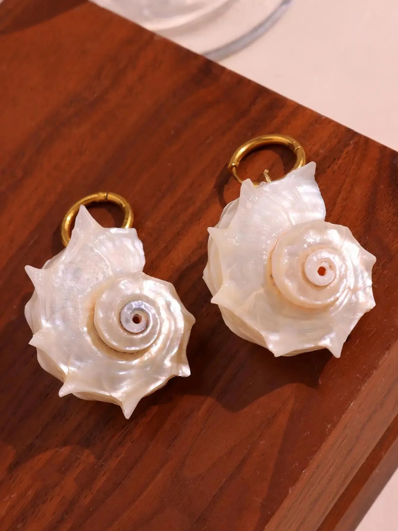 Seashell Earrings Seashell Earrings