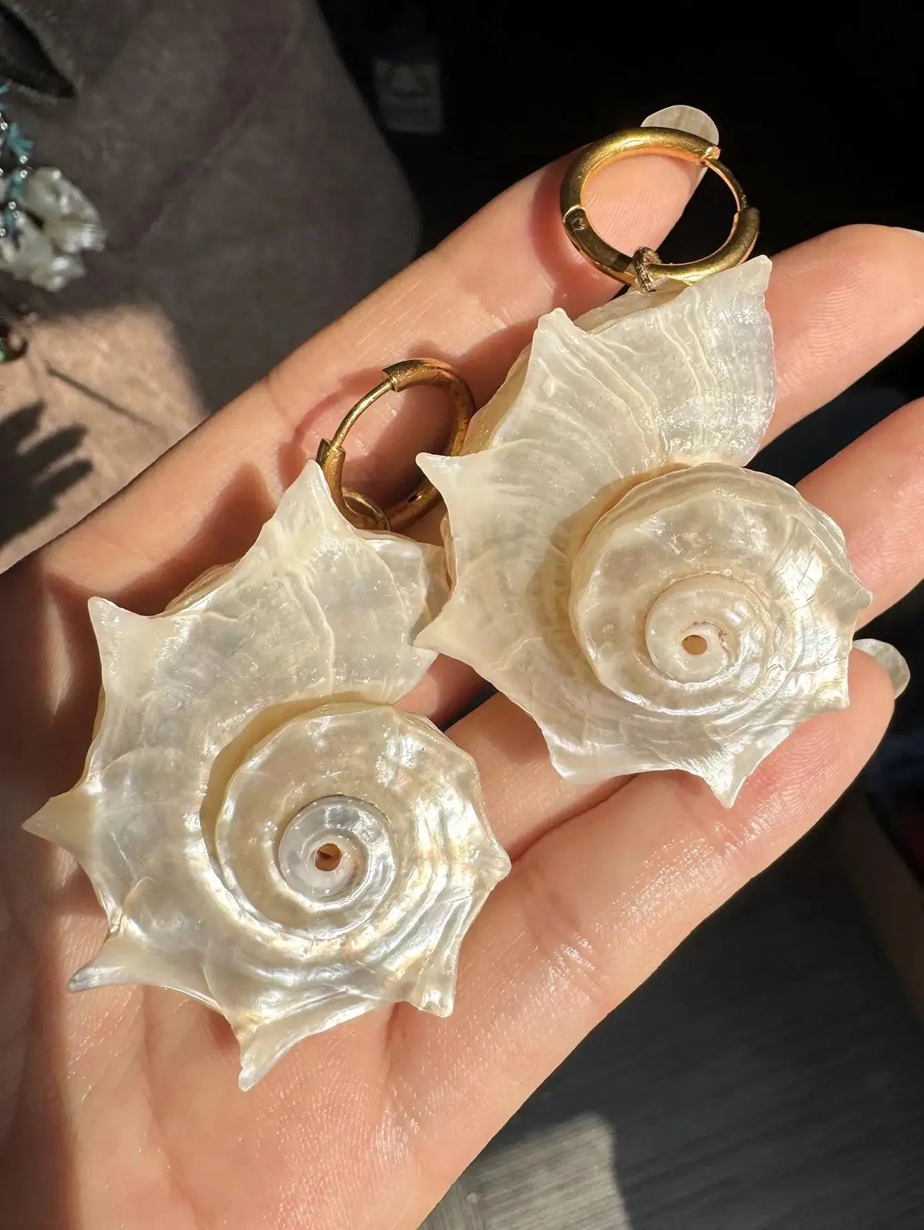 Seashell Earrings Seashell Earrings