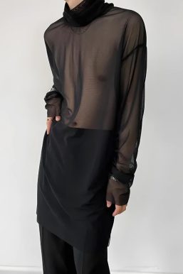 Sheer Mesh Turtle Neck Top