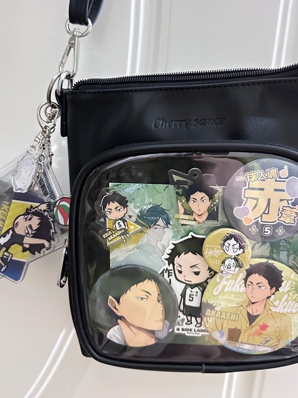 Small Casual Crossbody Ita Bag