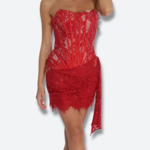 Strapless Lace Mini Dress
