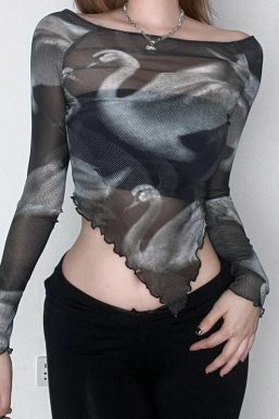 Swan Graphic Asymmetrical Mesh Top